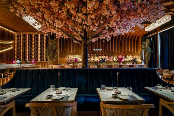 Wabi Nori Queens by null