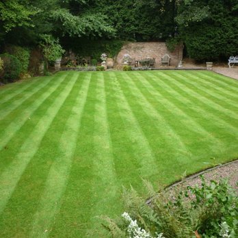 JMG Lawn Care - Perfect stripes - Lawn Services Near Me JMG Lawn Care - Perfect stripes - Lawn Services Near Me