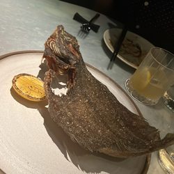 Choy - Flounder