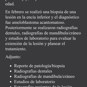 Vet Playas Veterinary Hospital - First part of my detailed email - Veterinarians Near Me - Tijuana, BCN