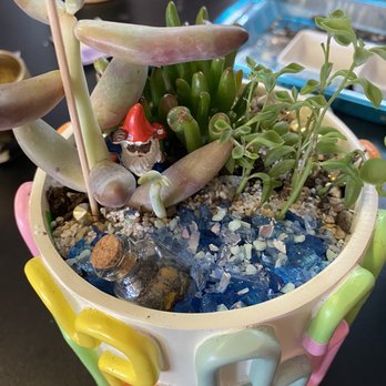 Zinks Town - Decorated plant - Art Galleries Near Me - Albuquerque, New Mexico