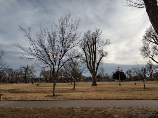 Ellwood Park by null