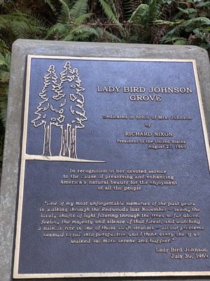 Lady Bird Johnson Grove Trail by null
