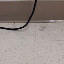 What's up with all this hair and dust? There's like 20 types of DNA on this floor. What's up with all this hair and dust? There's like 20 types of DNA on this floor.