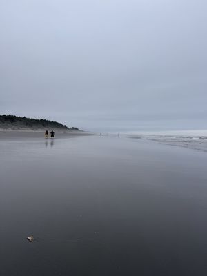 Kalaloch Campground by null