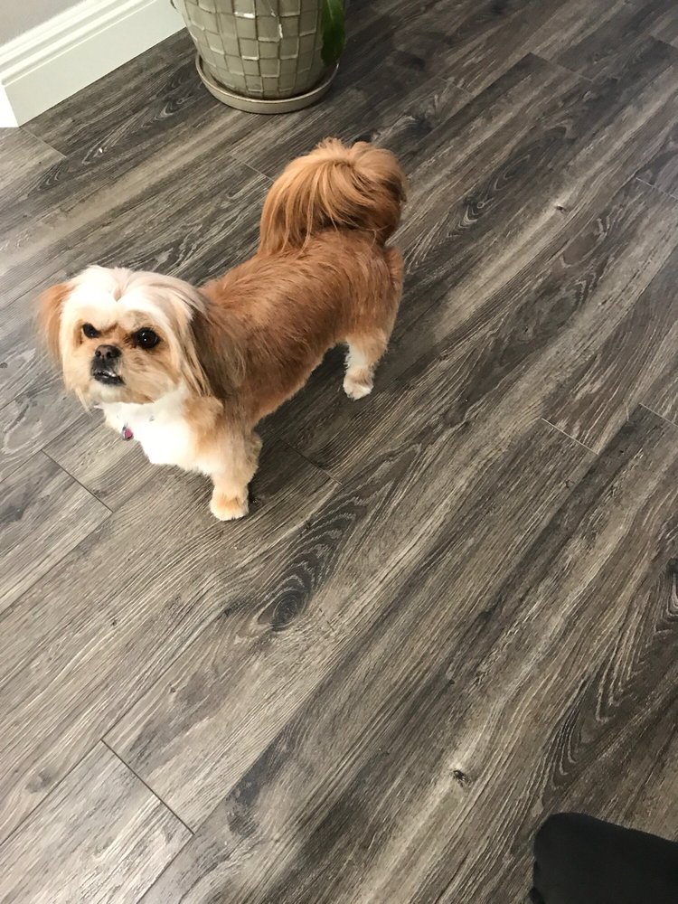 OH MY DOG MOBILE GROOMING Updated August 2024 131 N Yale St, Nampa, Idaho Pet Groomers