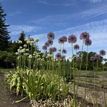 The Oregon Garden - Botanical Gardens Near Me - Silverton, Oregon