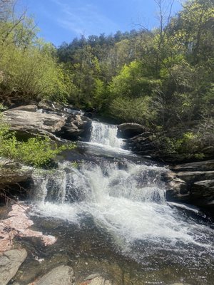 Cheaha State Park by null