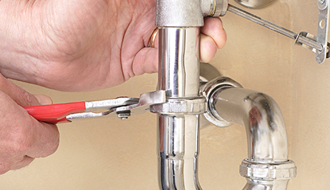 Slide of Nate The Snake