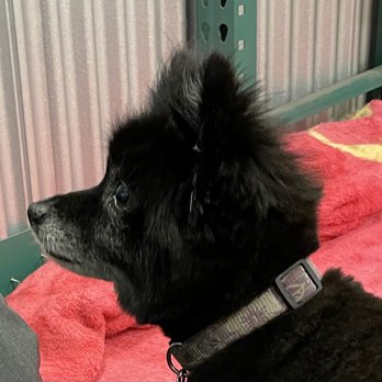 PetSmart - Pet Stores Near Me - Alexandria, Virginia