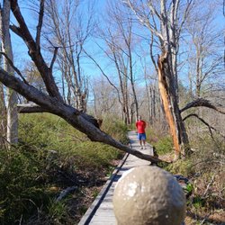 Wells Reserve at Laudholm