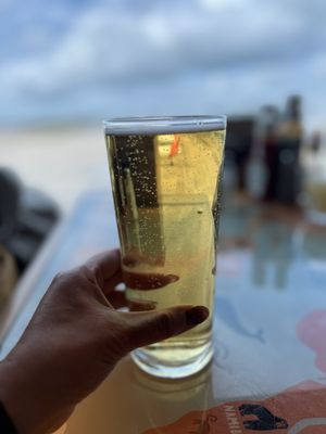 Wondertree - Gatwick South by null