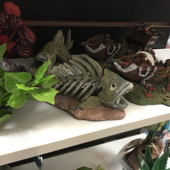 Tropical Pets - Pet Stores Near Me - Bronx, New York