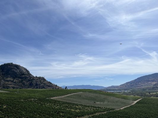 Burrowing Owl Estate Winery by null