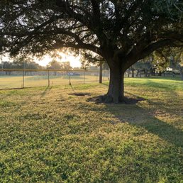 Beautiful sunrise at the park Beautiful sunrise at the park