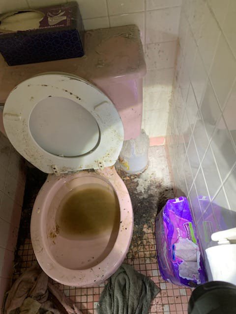 Slide of Love Thy Plumber