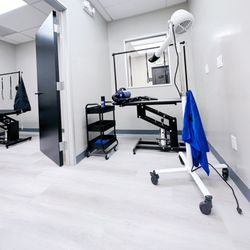 Niuniu Magic Spa & Grooming