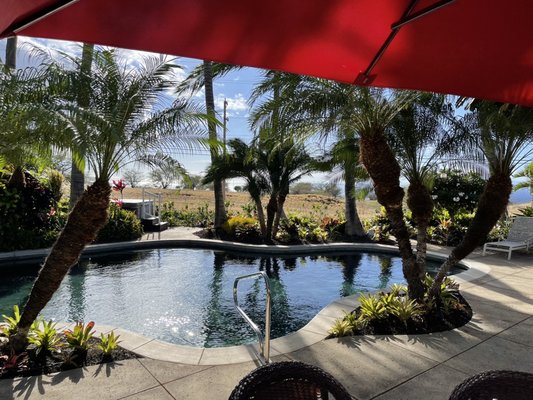 Pineapple Inn Maui by null