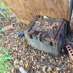 North Bosque Honey - Relocated these Honeybees in an antique toy box.