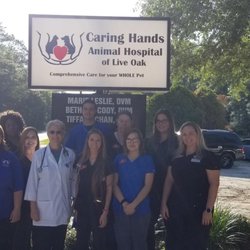 Caring Hands Animal Hospital of Live Oak