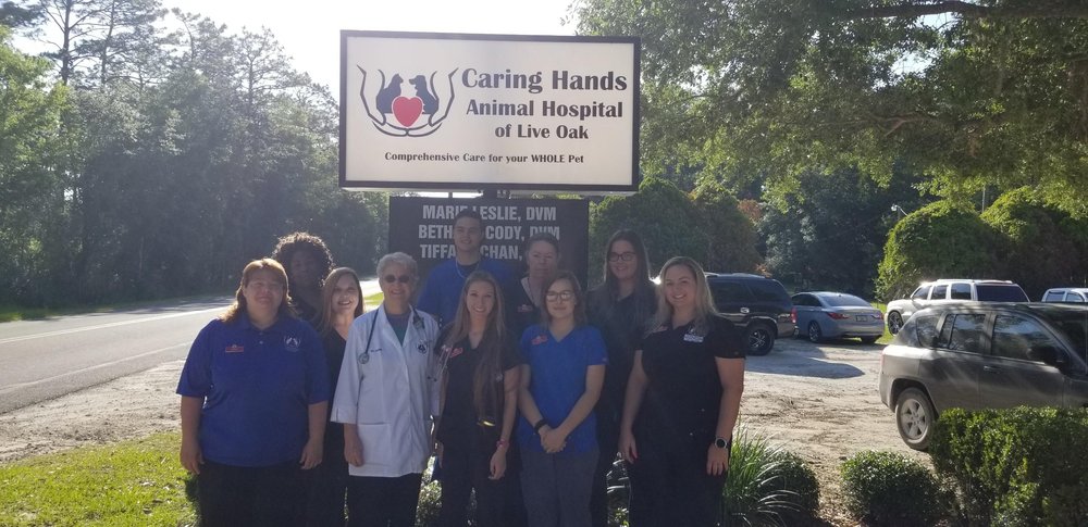 Caring Hands Animal Hospital of Live Oak Image
