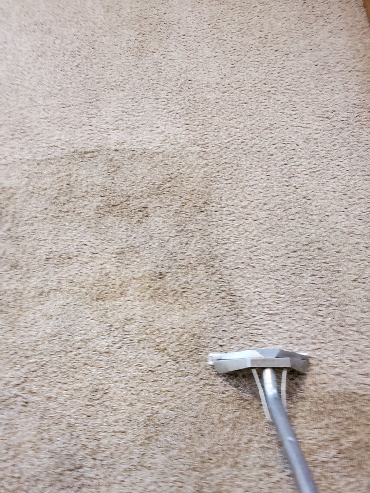 TLC CARPET & AIR DUCT CLEANING 69 Photos & 15 Reviews Carpet