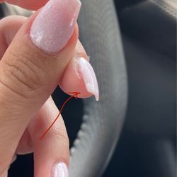 Venetian Nail Spa - Dent