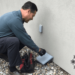 All Seasons Pest Control