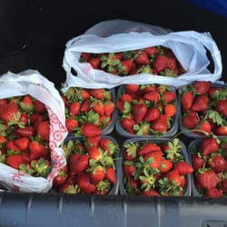 Spivey Farms Sales & Cooling - 15 quarts for 7.50$, you can't beat that!!!!