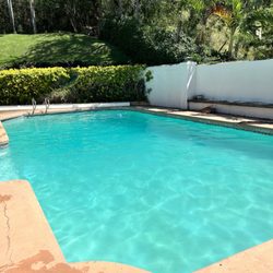 Gecko Pool Service - 3 Pool after cleaning by Gecko  (Deck is a bit wet)
