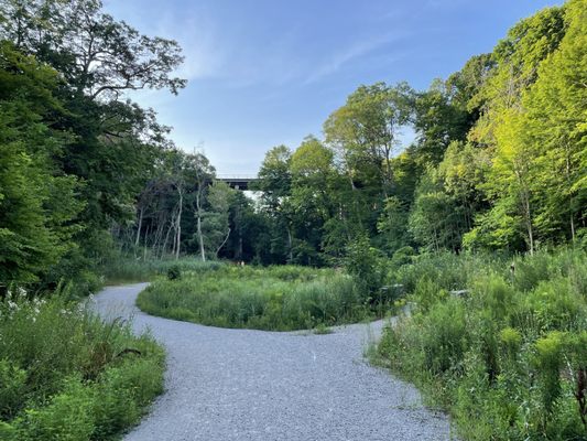 David A. Balfour Park by null