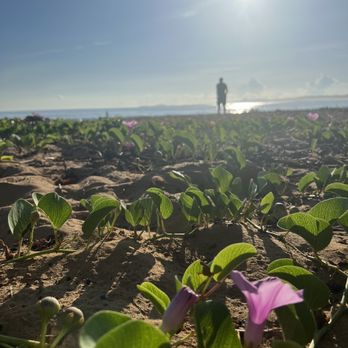 Playa Azul - Beaches Near Me - Luquillo, Puerto Rico