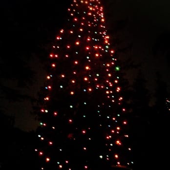 Christmas Tree Lane - Christmas Trees Near Me - San Marino, California