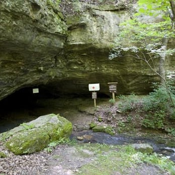 Camp Hickory Hill Summer Camps 5990 W Hatton Chapel Rd Columbia Mo Phone Number