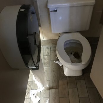 Port Huron KOA - toilet at 7 a.m. stall 1 - RV Parks Near Me - Kimball, Michigan