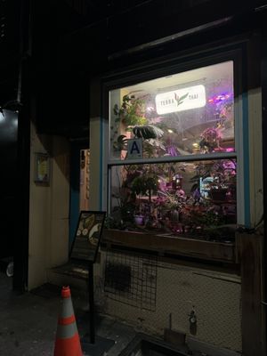 Terra Thai by null Terra Thai by null