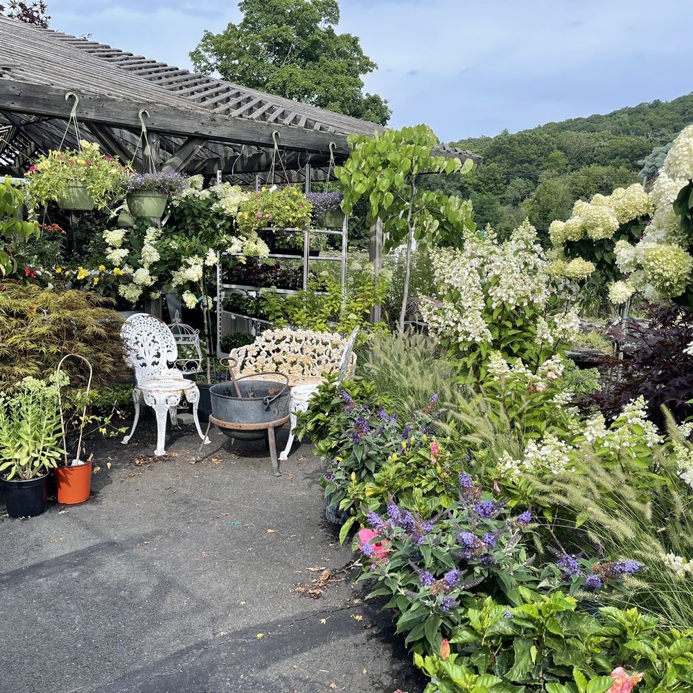 Avas Flowers 300 Corporate Drive Mahwah Nj 07430 Best Flower Site