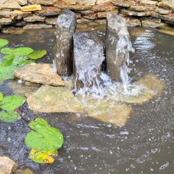 Pond Wiser