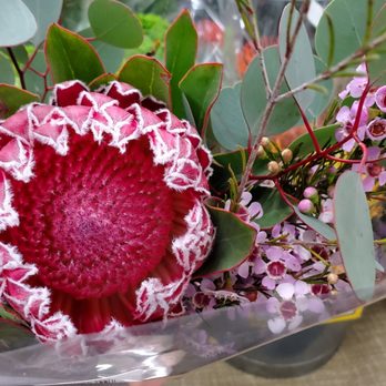 Trader Joe's - Pretty Proteas! - Grocery Near Me - Draper, Utah Trader Joe's - Pretty Proteas! - Grocery Near Me - Draper, Utah