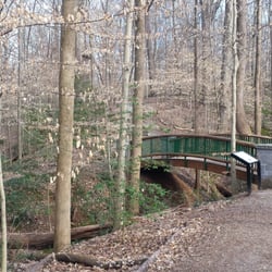 Deepdene Park