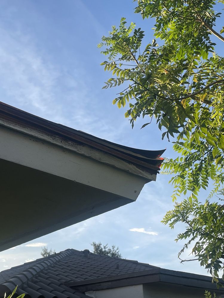 Slide of Roof Giants