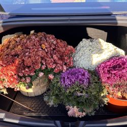 Gabrielsen Country Farms - Thanksgiving flowers