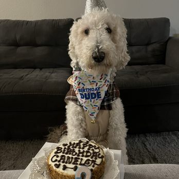 The Dog Bakery - Pet Stores Near Me - Pasadena, California