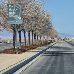 Musical Road - Sign  03-08-2021