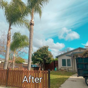 HB Plus Tree Services - Tree Services Near Me - Atwater, California HB Plus Tree Services - Tree Services Near Me - Atwater, California