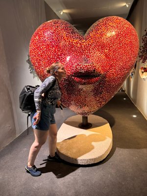 The Health Museum by null