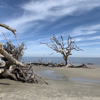 Driftwood Beach - Beaches Near Me - Jekyll Island, Georgia