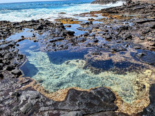 Halona Beach Cove by null