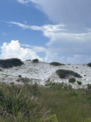 Grayton Beach State Park by null