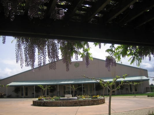 William Hill Estate Winery by null